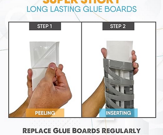 Glue Board Fly Web